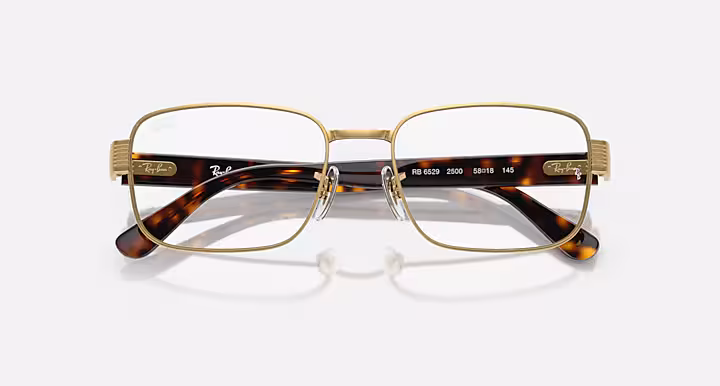 Ray-Ban RB6529 OPTICS