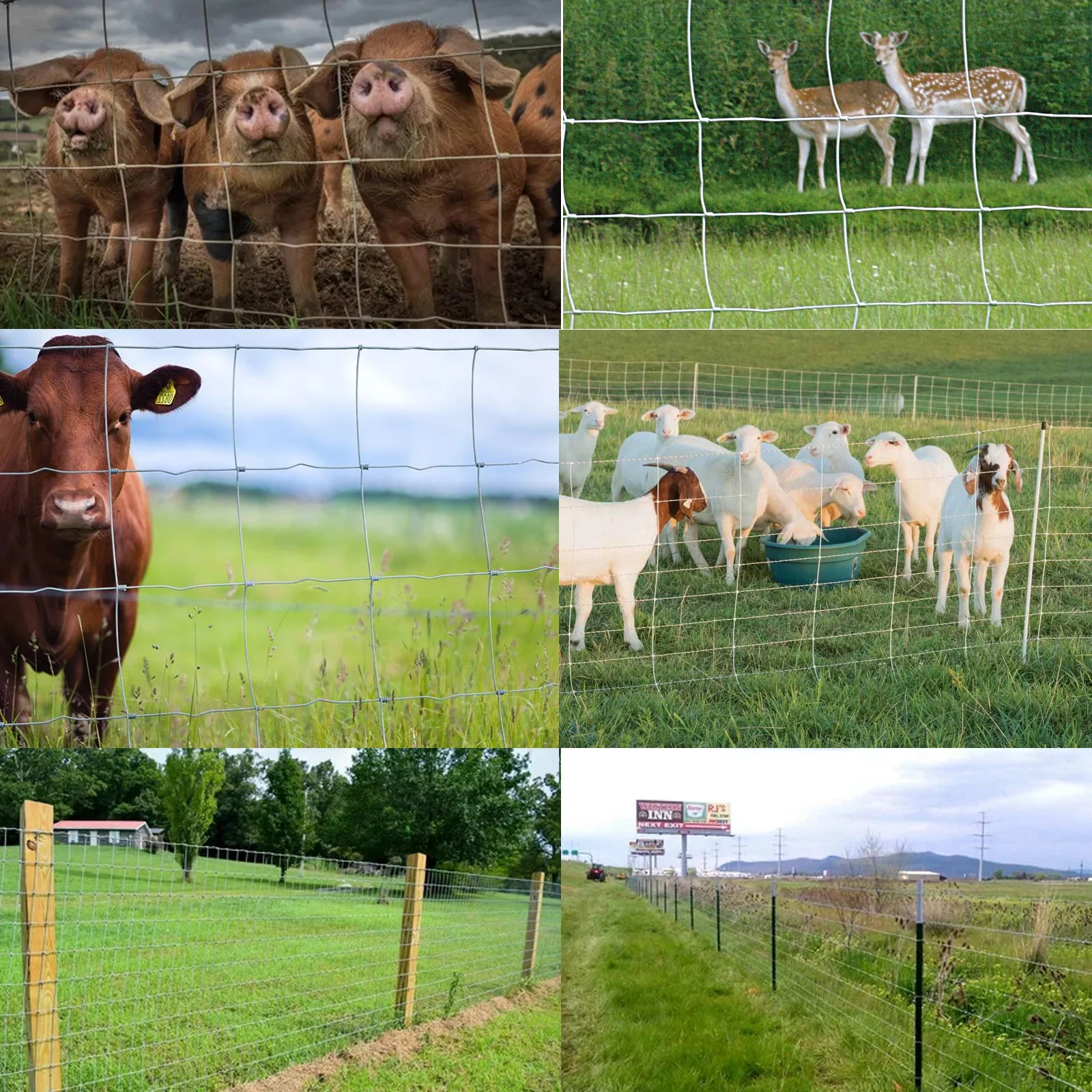 Farm Fence, 4ft x 164ft Galvanized Wire Fencing, Cattle Fence, Deer Fence, Heavy Zinc Coating Farm Fence Used to Hog Goat Fencing for Yard Garden and Field - Image 12
