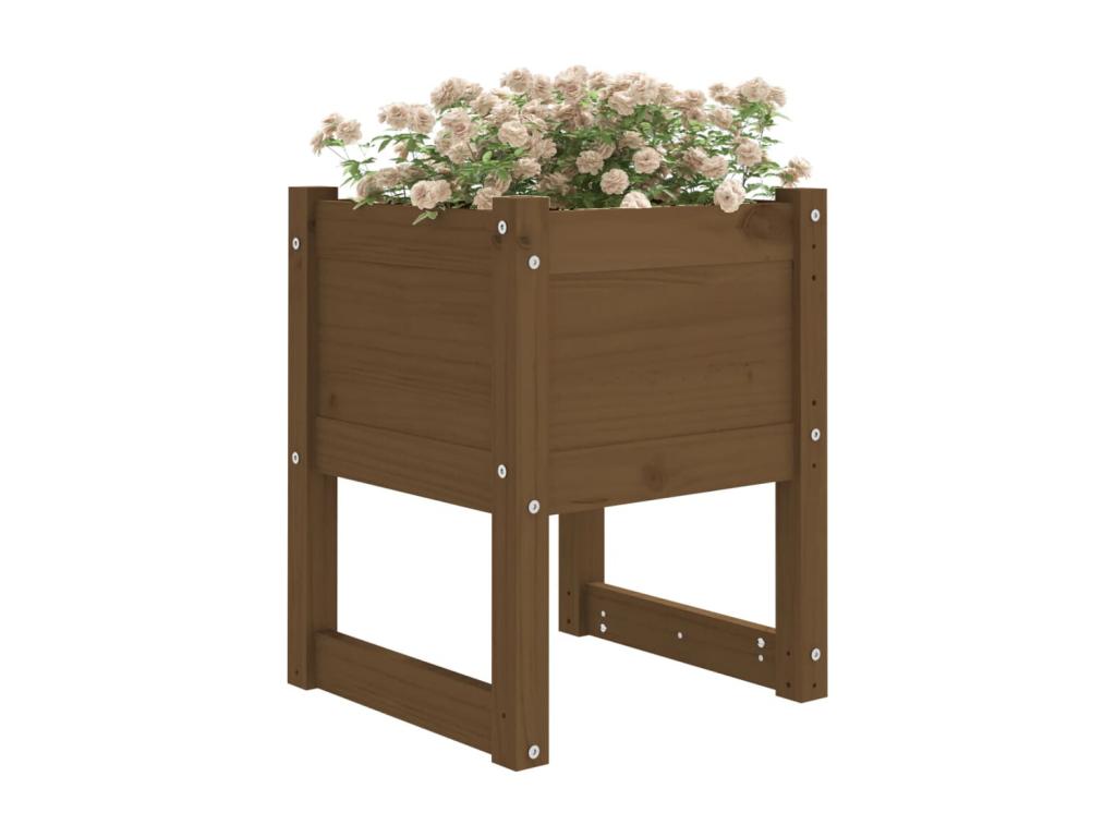 Decoratodo madera maciza de pino marrón miel 40x40x52,5 cm