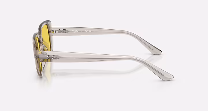 Ray-Ban RB4421D BIO-BASED