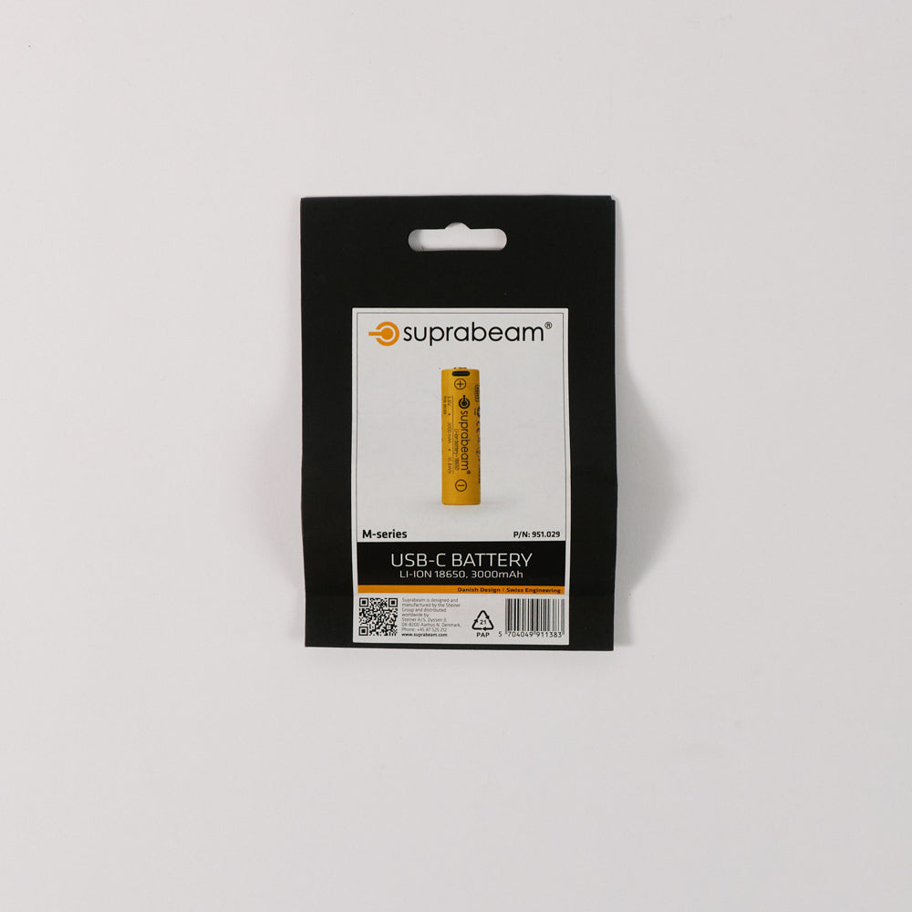 Pile rechargeable Usb-C
