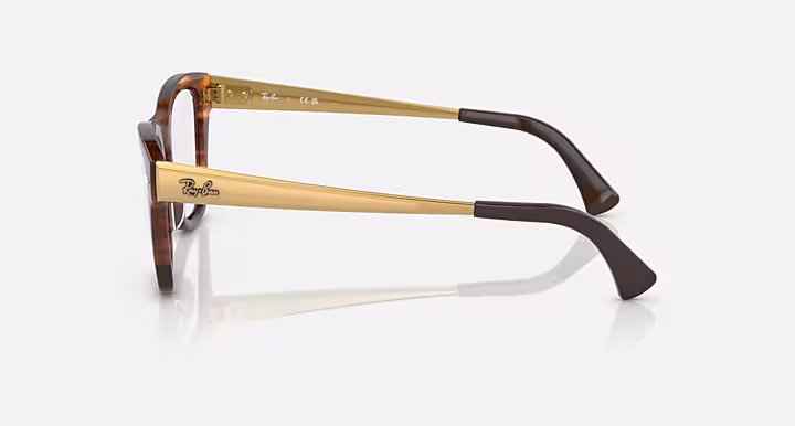 Ray-Ban RB0707VM OPTICS