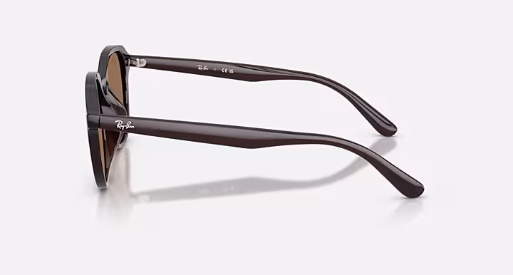 Ray-Ban RB4459D