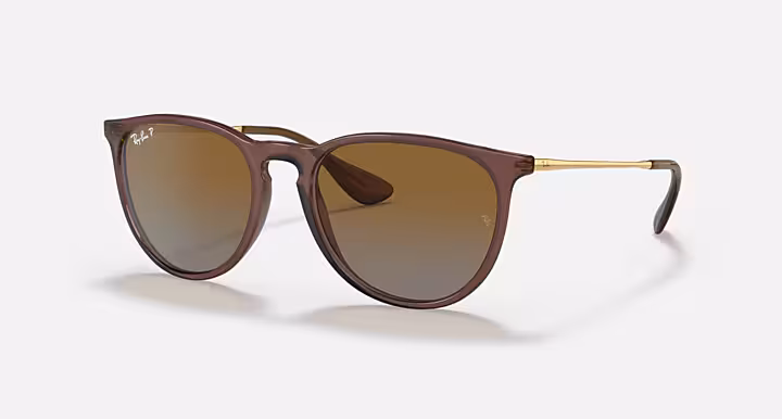 Ray-Ban ERIKA CLASSIC