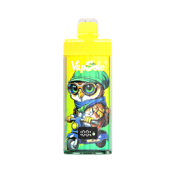 （50 pack）VapSolo King Pro 40000 Puffs Disposable Vape
