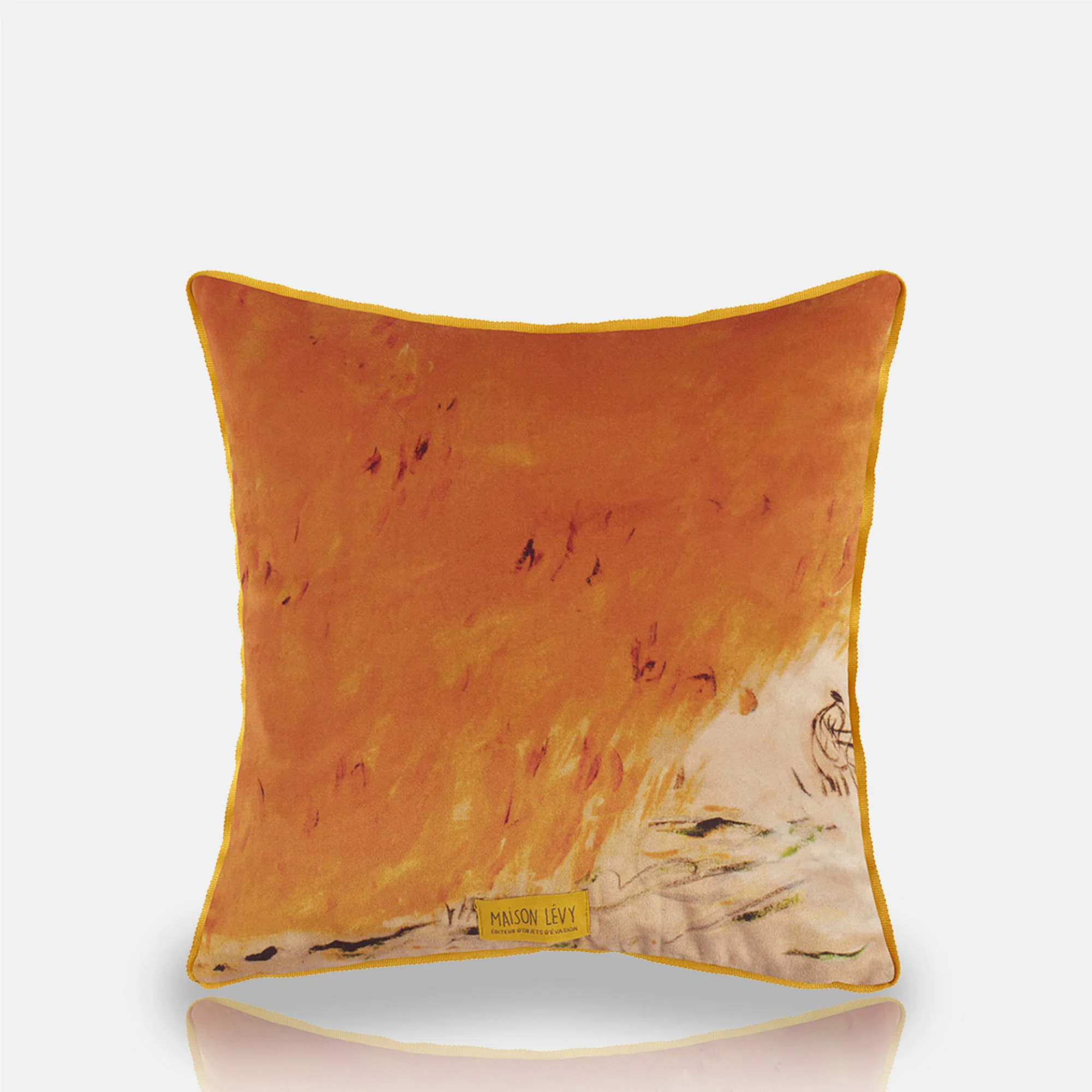 Bicyclette Velvet Cushion