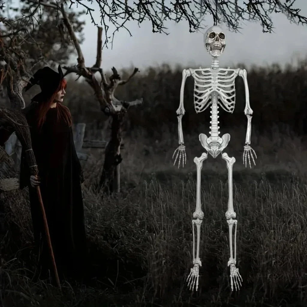 Halloween Decoration Skeleton Figure Life-Size Display - Image 3 Halloween Decoration Skeleton Figure Life-Size Display - Image 3