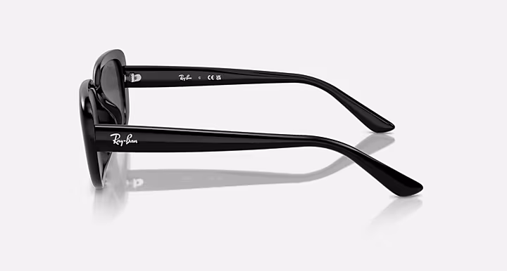 Ray-Ban RB4421D BIO-BASED
