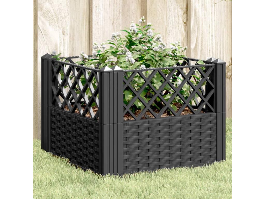 Decoratodo con clavijas PP negro 43,,5x43,5 cm