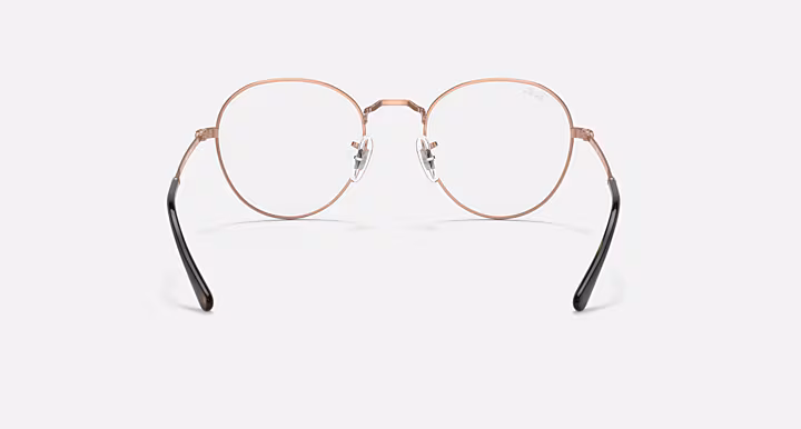 Ray-Ban ROUND METAL OPTICS II