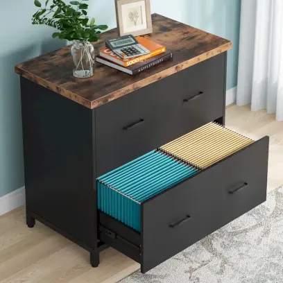 2-Drawer Lateral File Cabinet for Office Organization