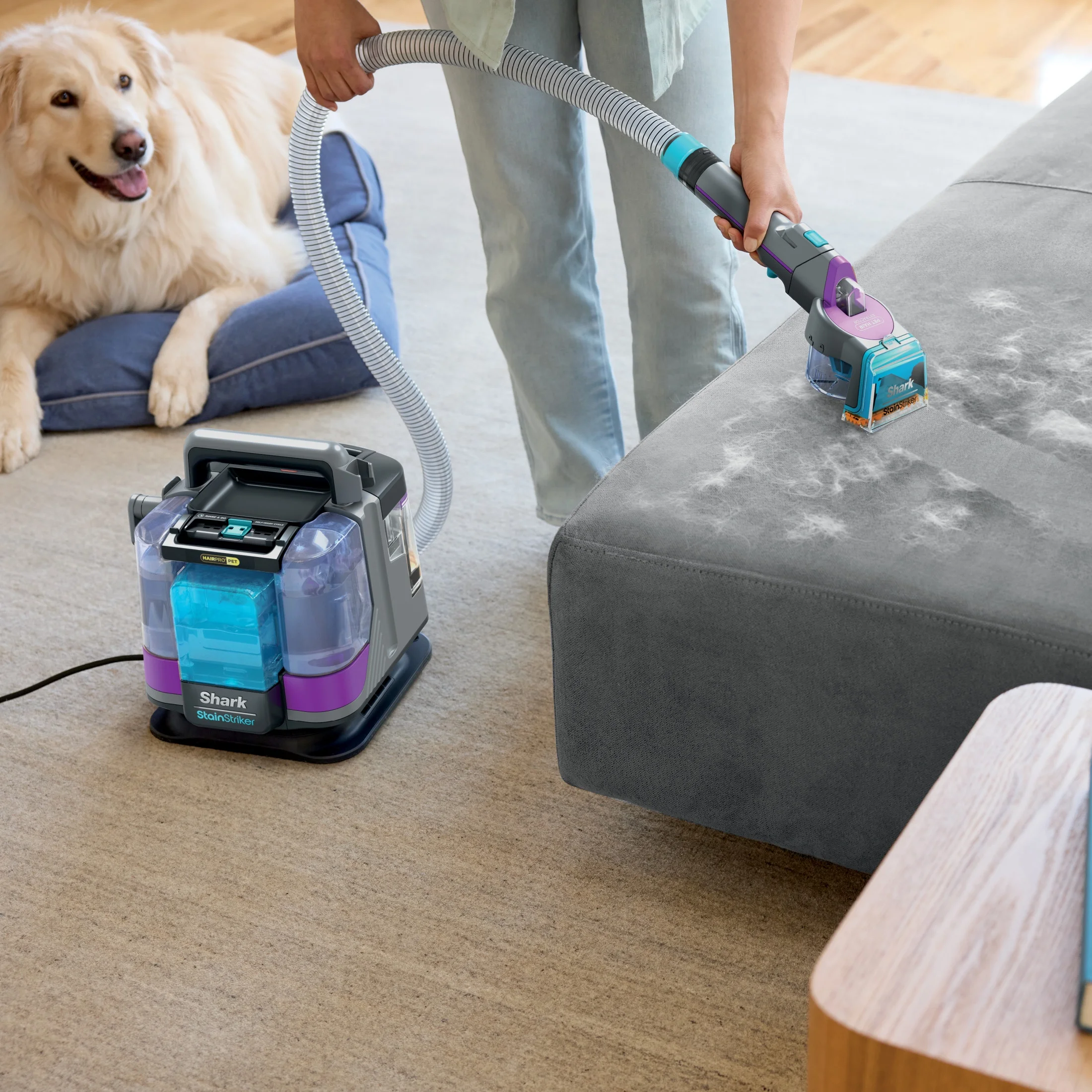 Shark StainStriker HairPro Carpet and Upholstery Cleaner, Portable with 3 Tools, 6oz Deep Clean Pro Formula and 12oz OXY Multiplier Formula, PX250 Dark Silver/Fuchsia - Image 13