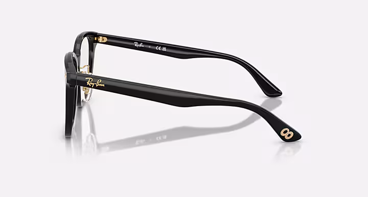 Ray-Ban RB5425D OPTICS YEAR OF THE SNAKE EDITION