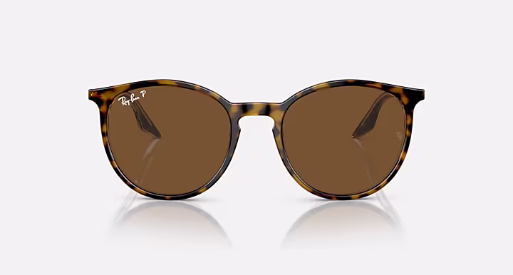 Ray-Ban RB2204