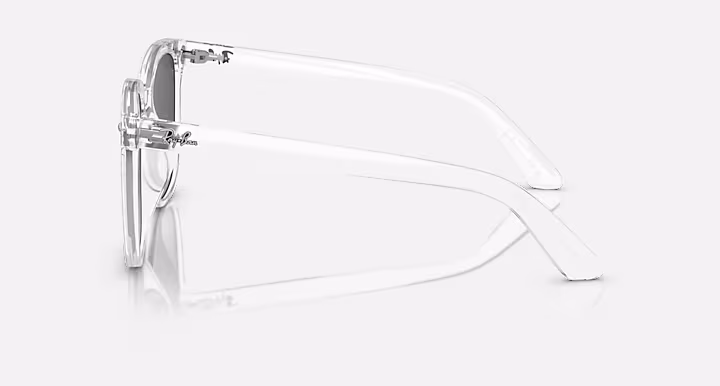 Ray-Ban RB4401D