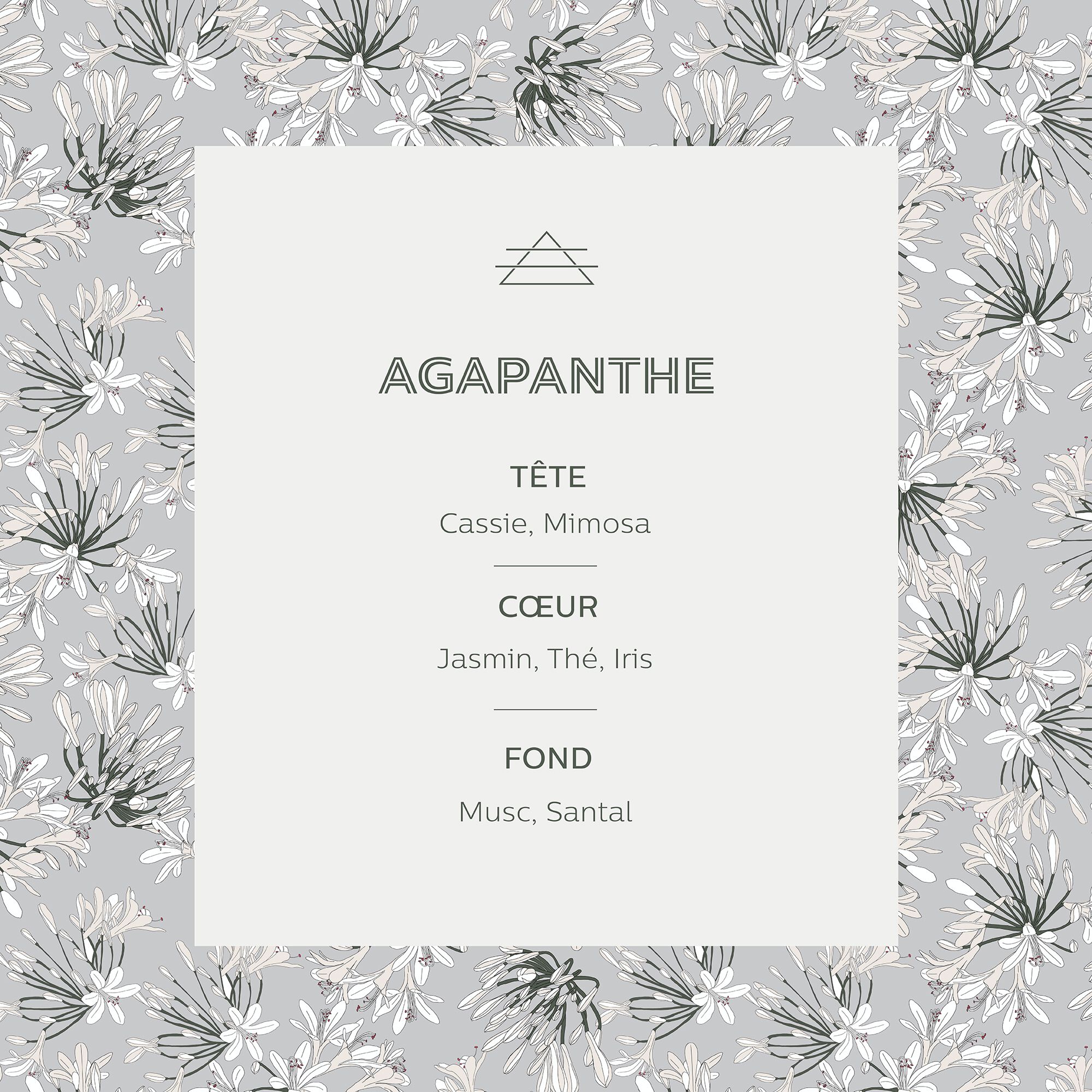 SIGNATURE - Recharge pour diffuseur Agapanthe 200ml