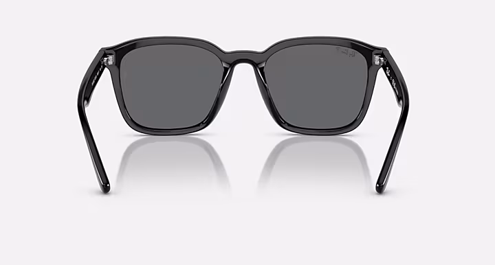 Ray-Ban RB4392D