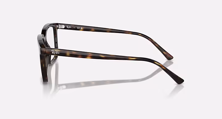 Ray-Ban ALAIN OPTICS
