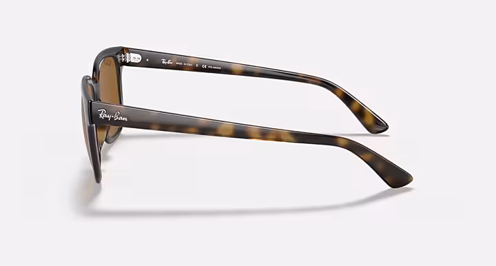 Ray-Ban RB4323