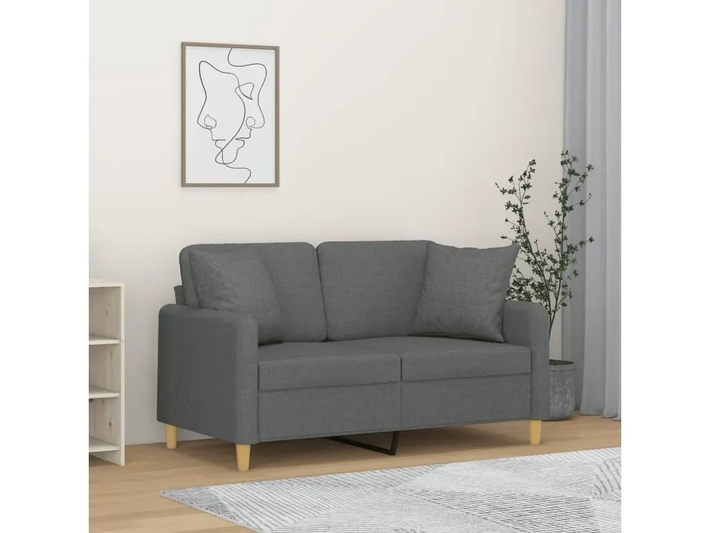 Sofá de 2 plazas con cojines tela gris oscuro 120 cm