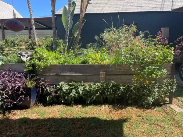 AnkerfieldSelf-Watering Eco-Stained Elevated Planter Box