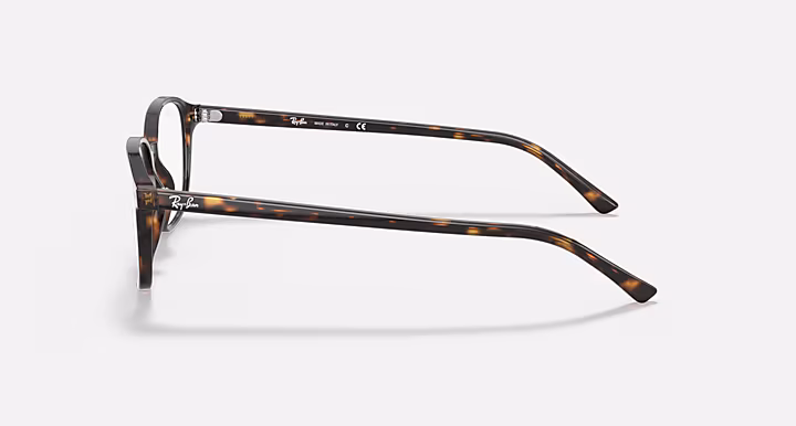 Ray-Ban LEONARD OPTICS