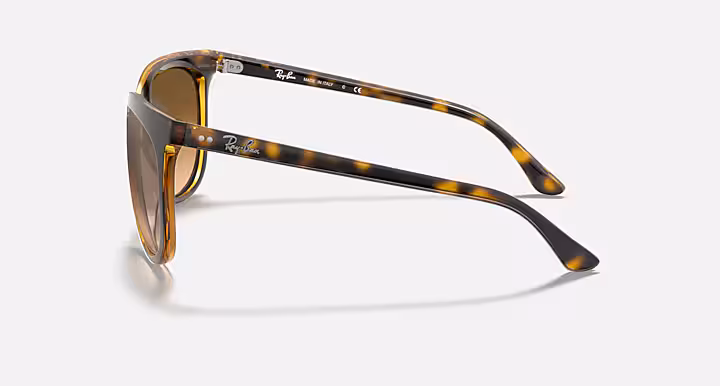 Ray-Ban CATS 1000