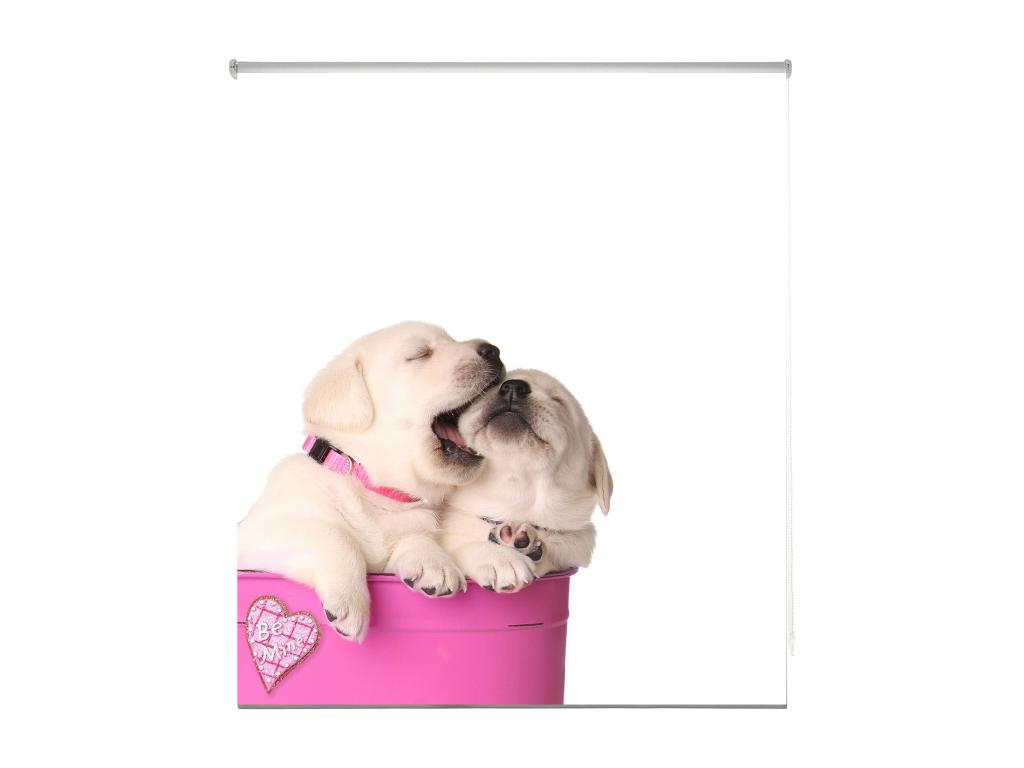 Hogarlujo | Estores Personalizados Easyfix ANIMALES | 110 x 150 cm (Ancho por Alto) Tamaño de Tela 107 x 150 cm | Modelo A-196 Color Unico