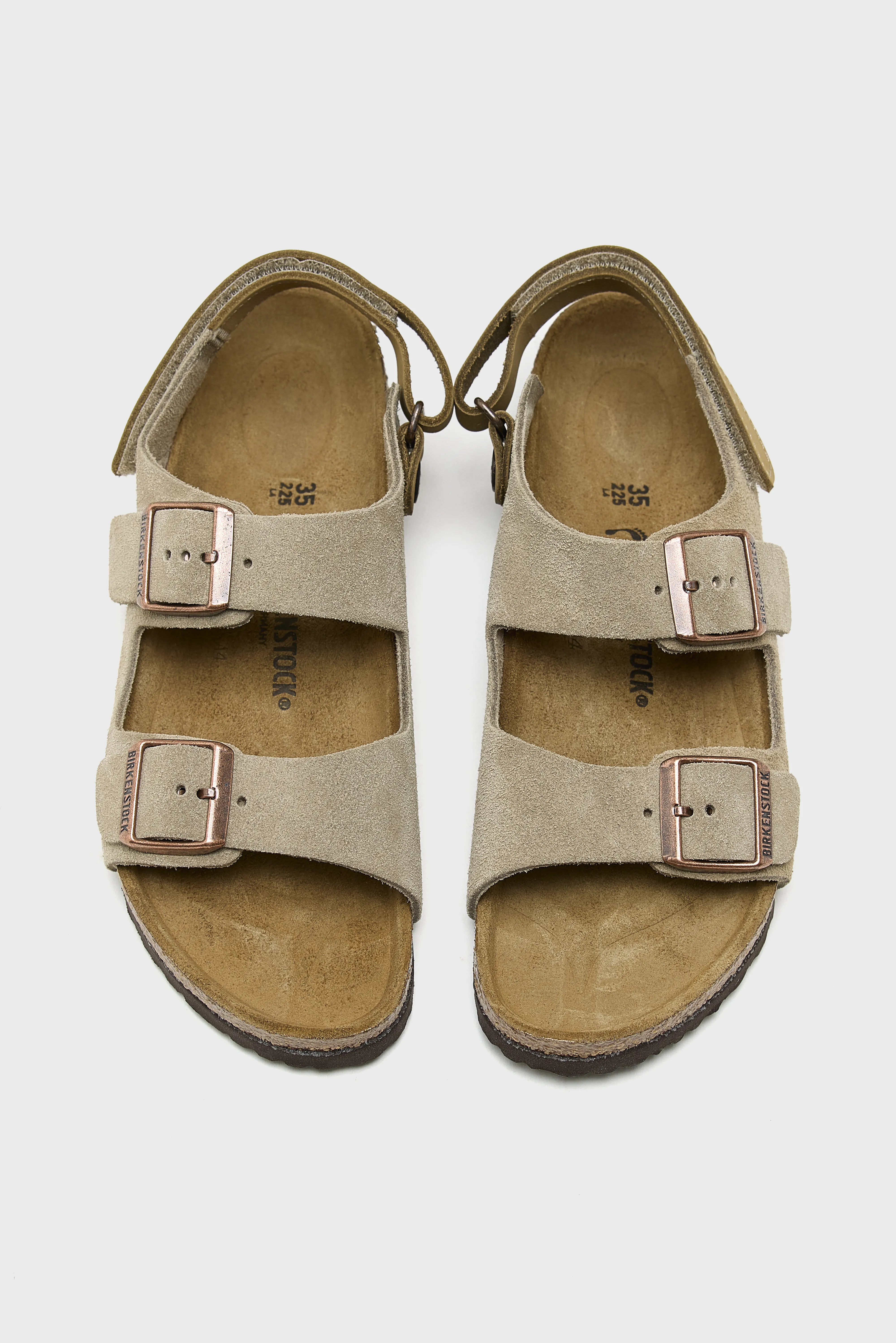 Bellerose Milano Suede for Kids  (251 / B / TAUPE)