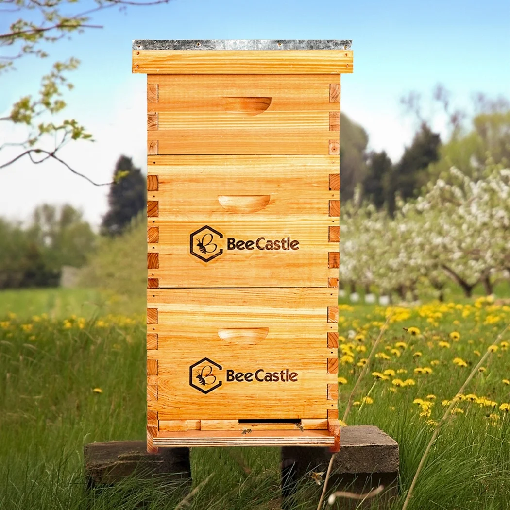 Bee Castle 10-Frame Beeswaxed Complete Bee Hives Kit with 2 Deep Box and 1 Medium Box - Image 2