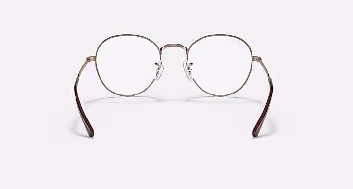 Ray-Ban ROUND METAL OPTICS II