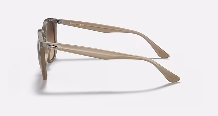 Ray-Ban RB4306