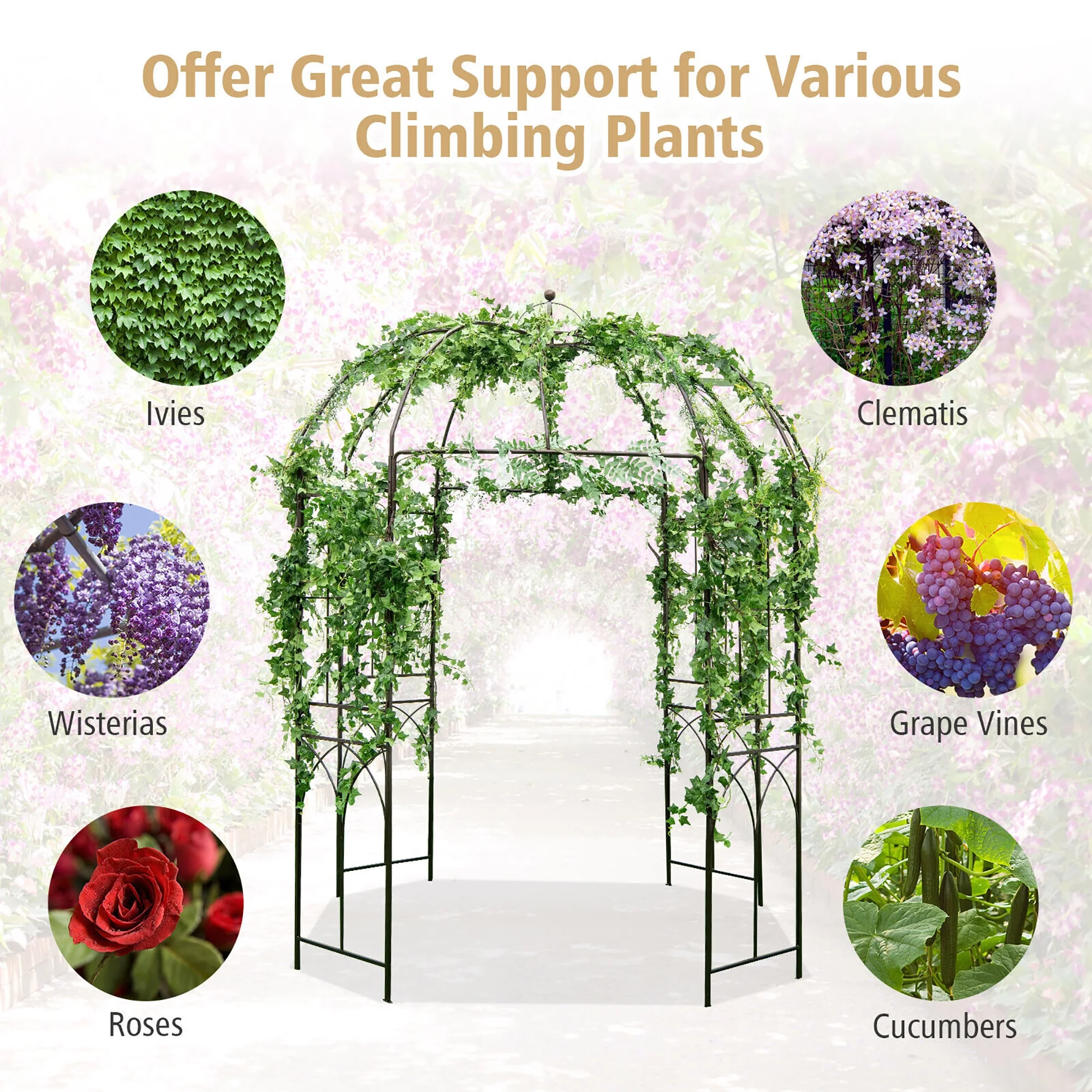 Gymax Birdcage Shape Garden Arbor Pergola Climbing Plants Stand Rack for Wedding Party - Image 6