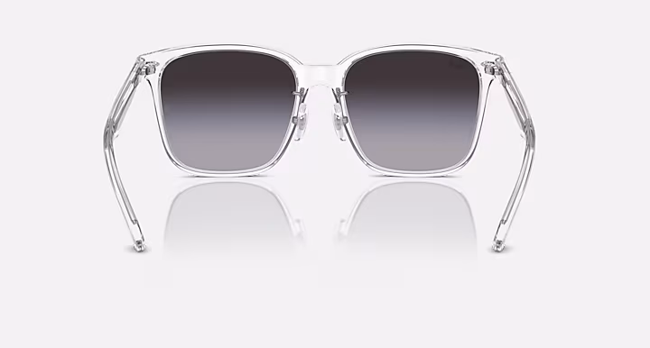 Ray-Ban RB2206D