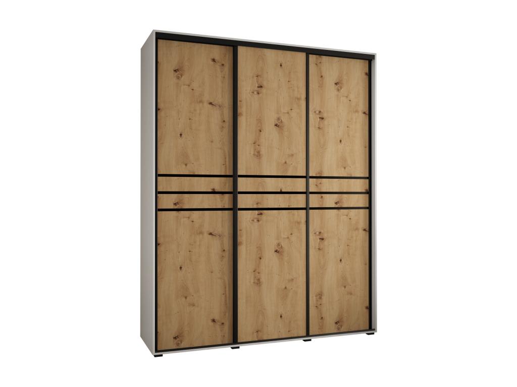 ARMARIO CON PUERTAS BATIENTES 235 - 2/200/60 3 puertas