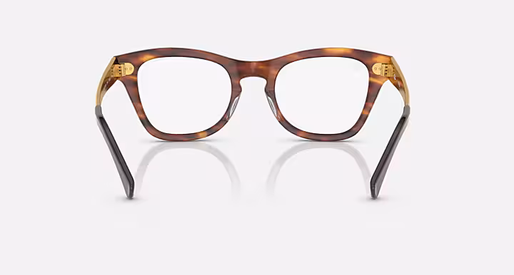 Ray-Ban RB0707VM OPTICS