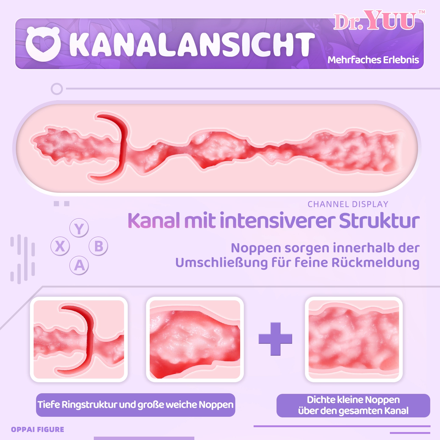 Kanal-Schnittdarstellung mit intensiver Innenstruktur, tiefen Ringen, weichen Noppen und dicht verteilten Reliefs.