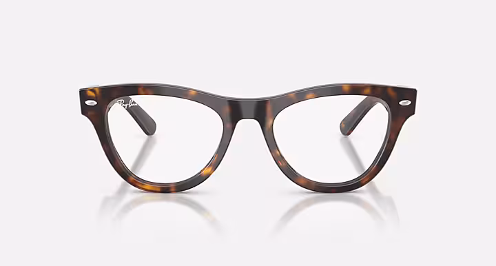 Ray-Ban SKYLER OPTICS