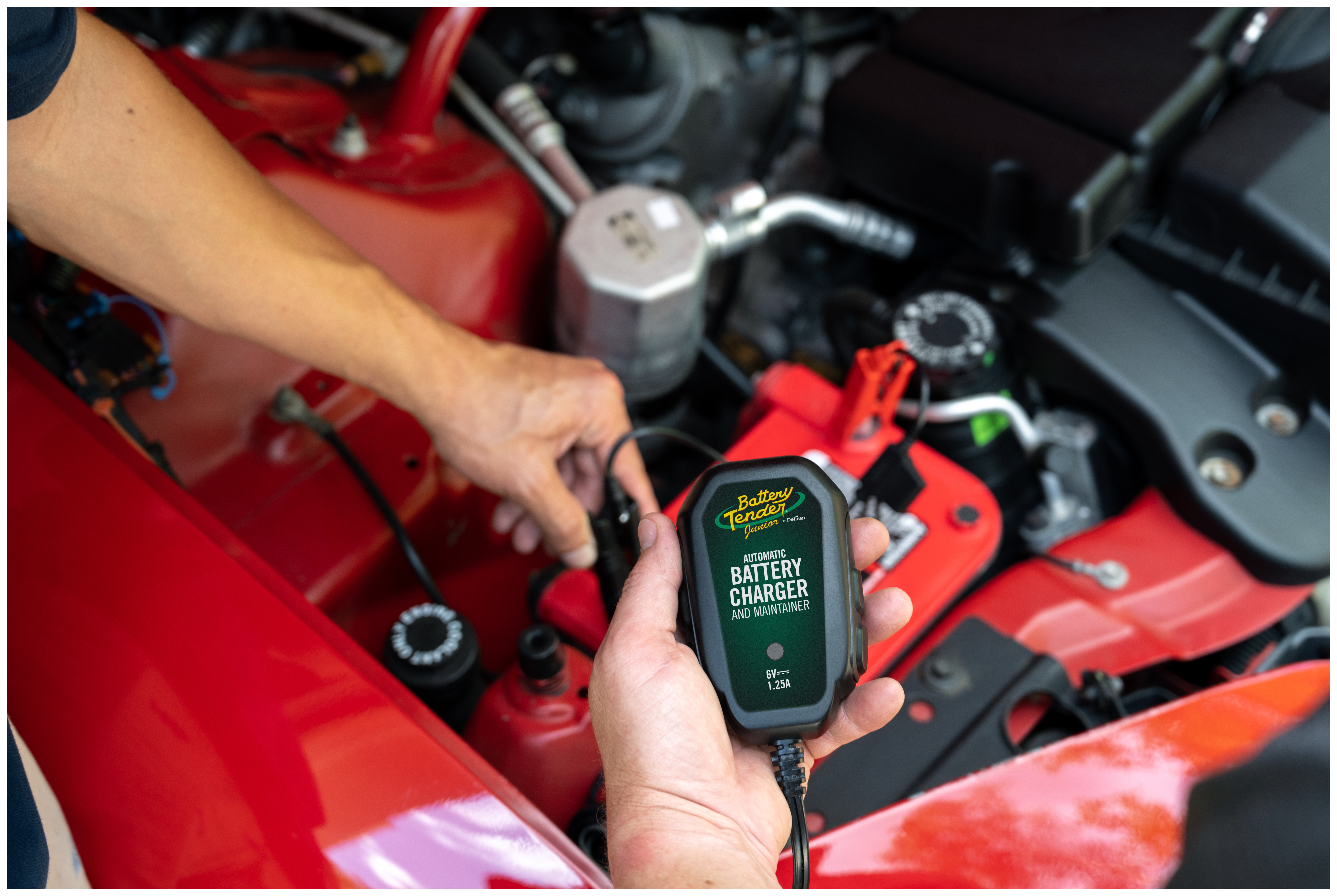 SportsBikeShop Battery Tender Junior 1.25 Amp 6V Battery Charger
