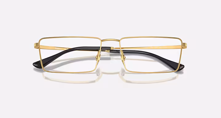 Ray-Ban EMY OPTICS