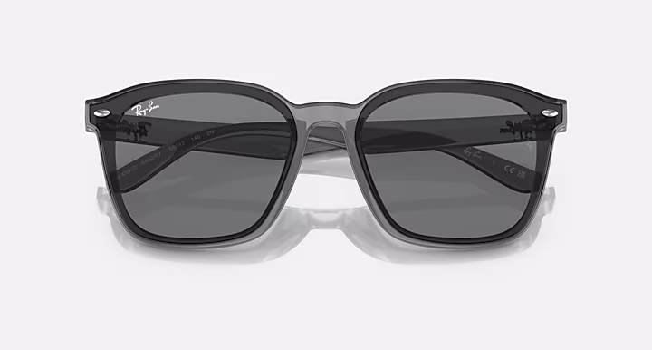 Ray-Ban RB4392D