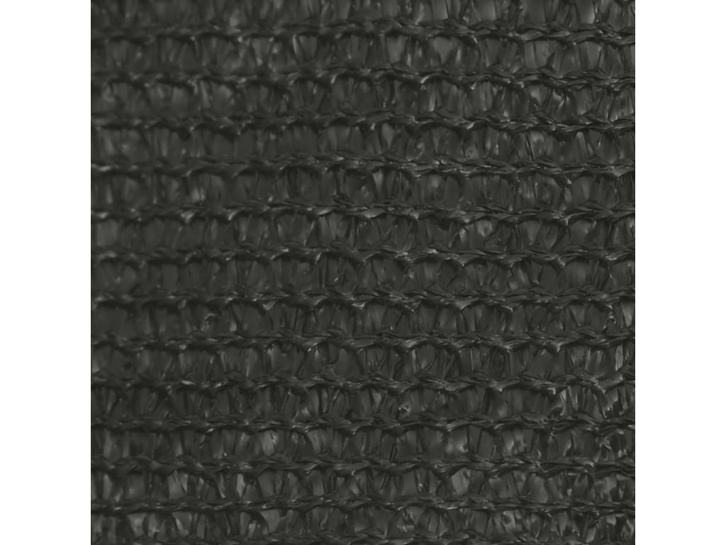 Toldo de vela gris antracita HDPE 160 g/m² 3x4x5 m