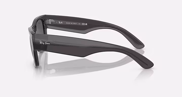 Ray-Ban MEGA WAYFARER