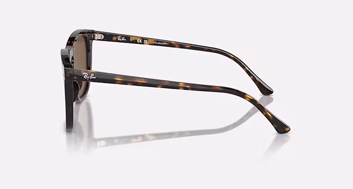 Ray-Ban RB2210