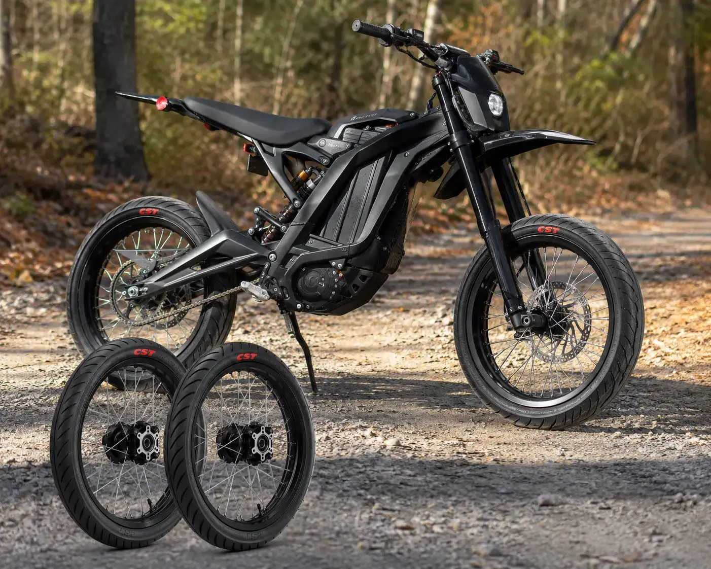 SurRon Light Bee Off-Road Modified 17