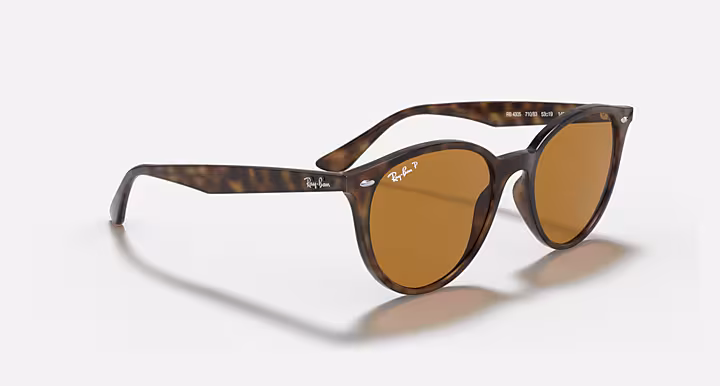 Ray-Ban RB4305