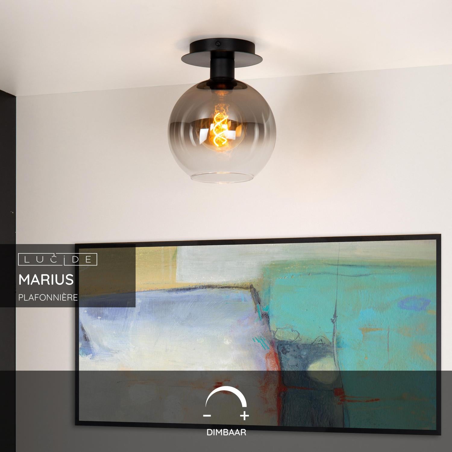 Marius 1 plafondlamp Ø20 zwart