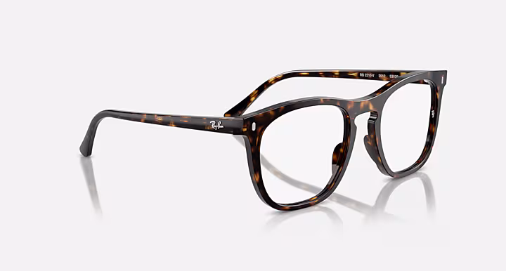 Ray-Ban RB2210V OPTICS
