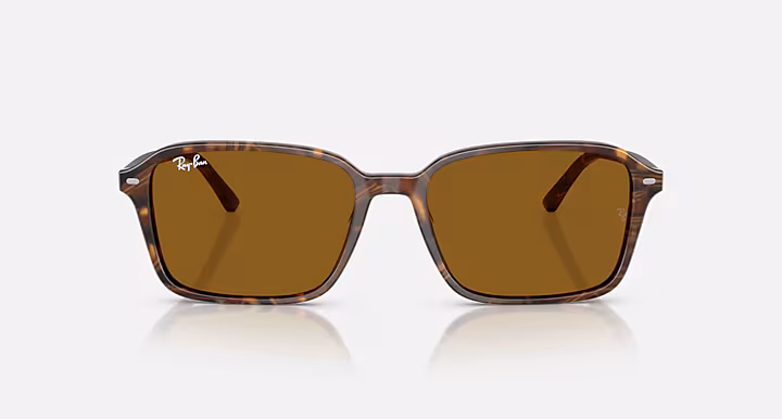Ray-Ban RAIMOND