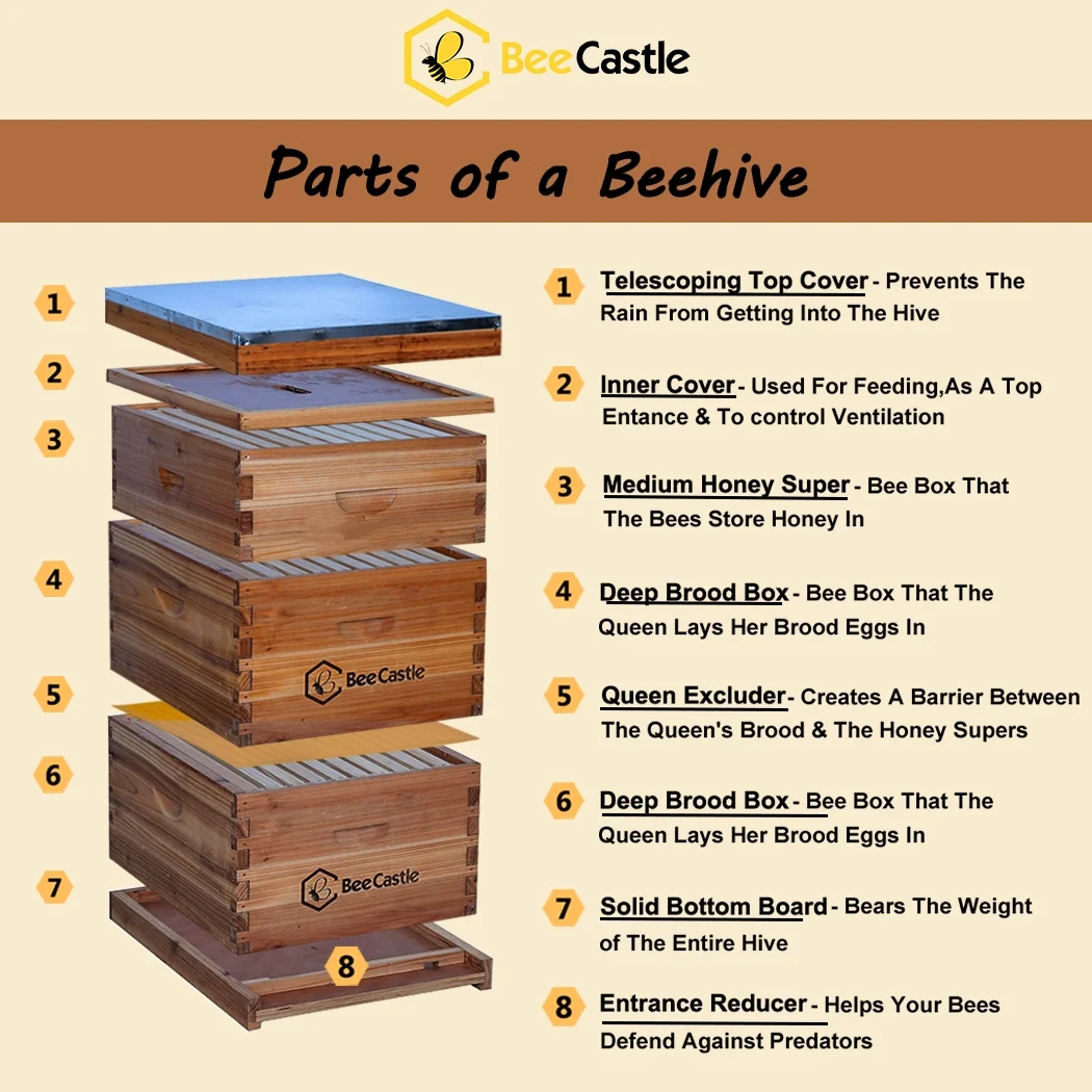 Bee Castle 10-Frame Beeswaxed Complete Bee Hives Kit with 2 Deep Box and 1 Medium Box - Image 4